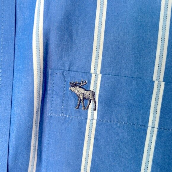 ABERCROMBIE & FITCH Brown Moose Blue & White striped Men’s Shirt Size Large. - Picture 3 of 6